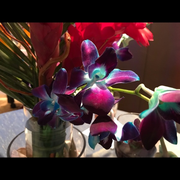 Meet your Posher, Jennifer - Picture 1 of 1